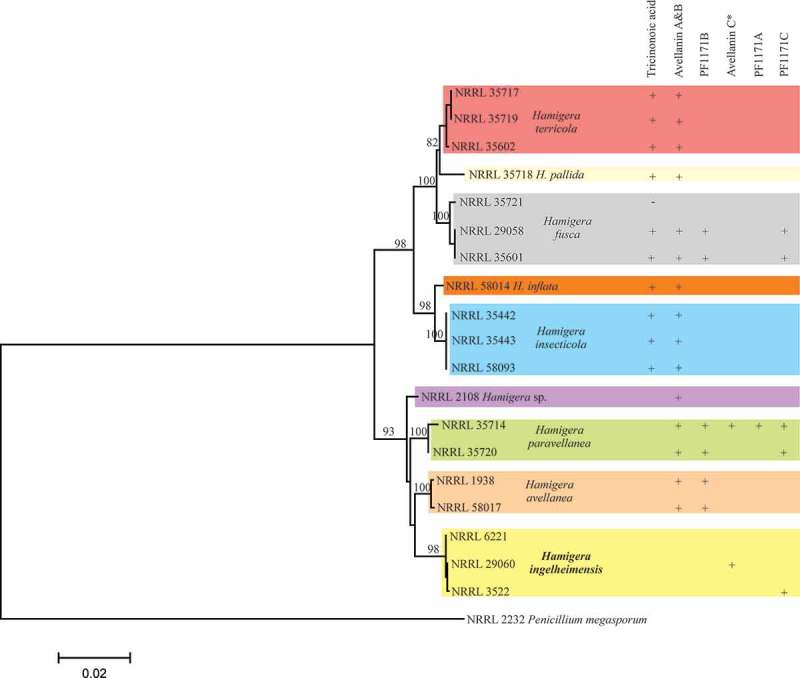 Figure 6. 