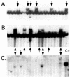 FIG. 6.
