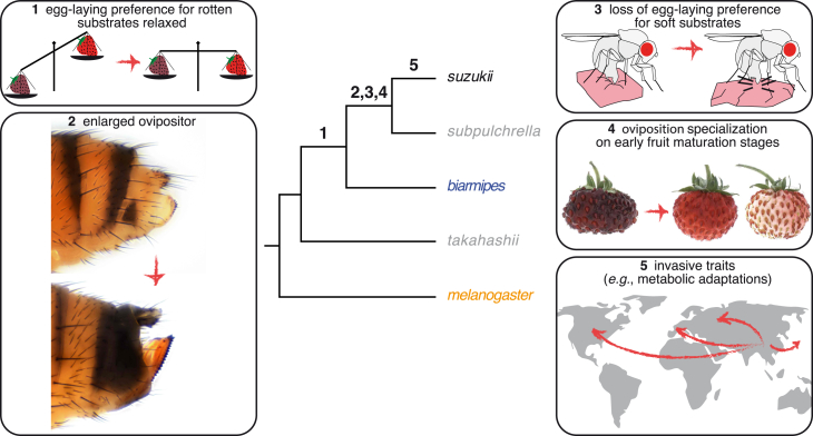 Figure 4