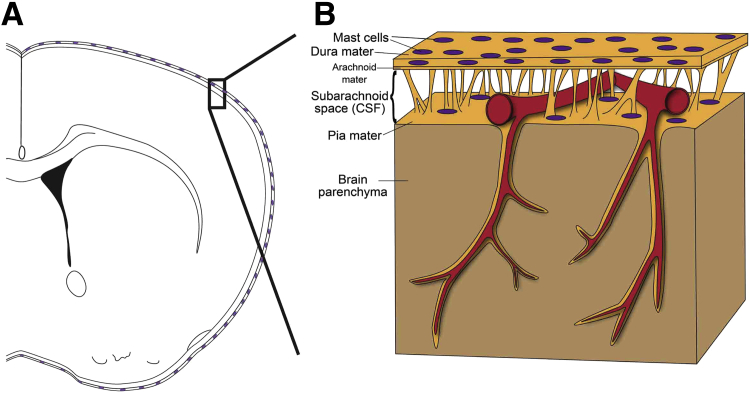 Figure 7