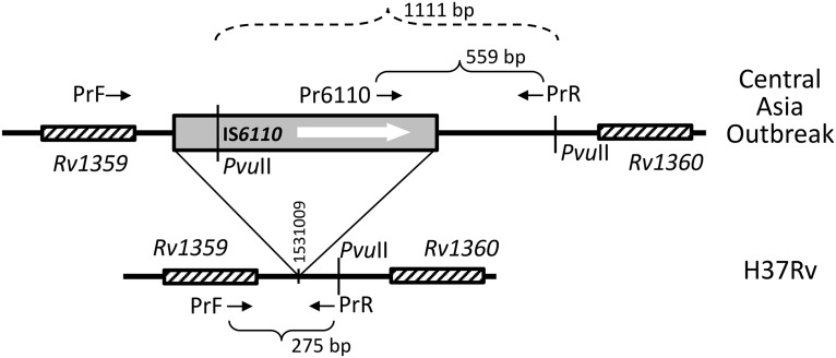 FIG 2