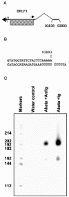 FIG. 1.