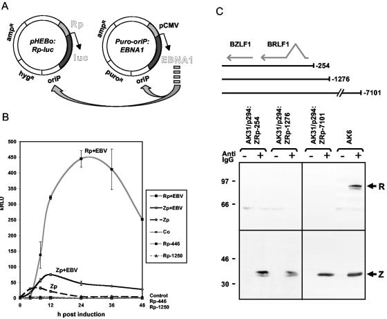 FIG. 2.