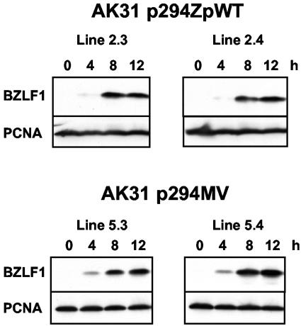 FIG. 3.