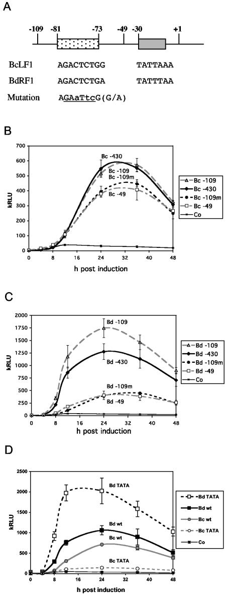 FIG. 6.