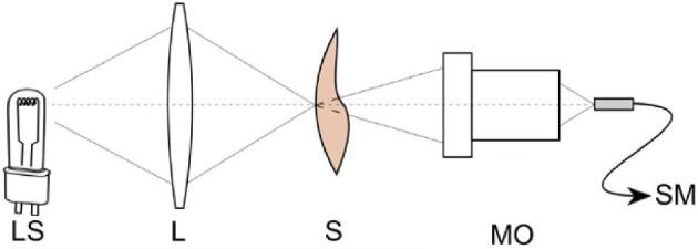 Figure 2.