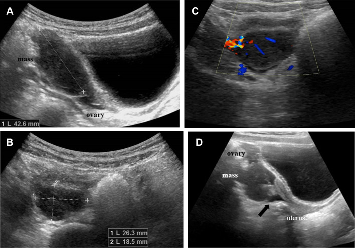 Fig. 4