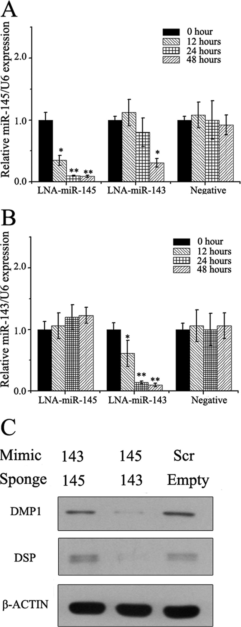 FIGURE 5.