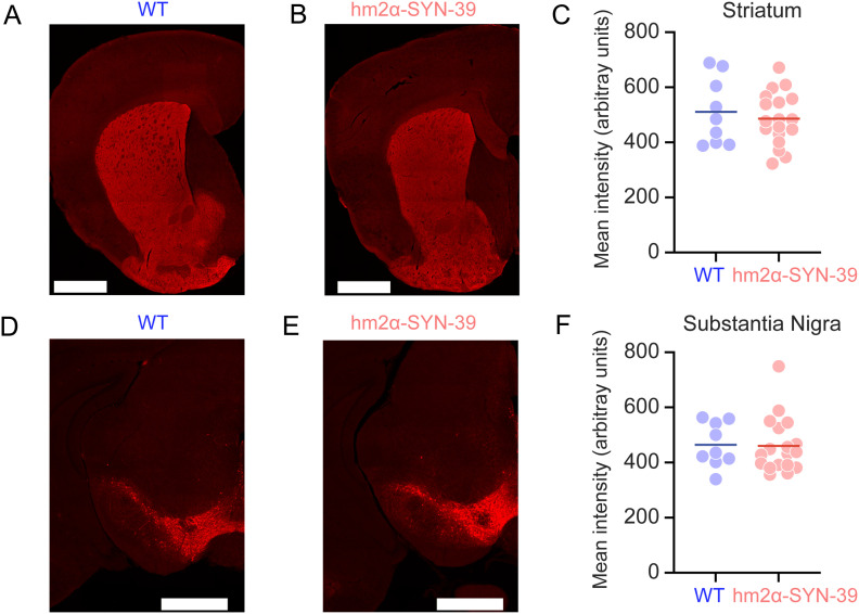 Figure 2.