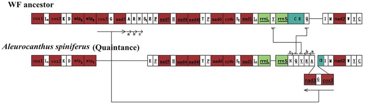 Fig 8
