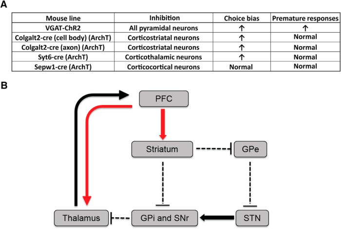 Figure 8.