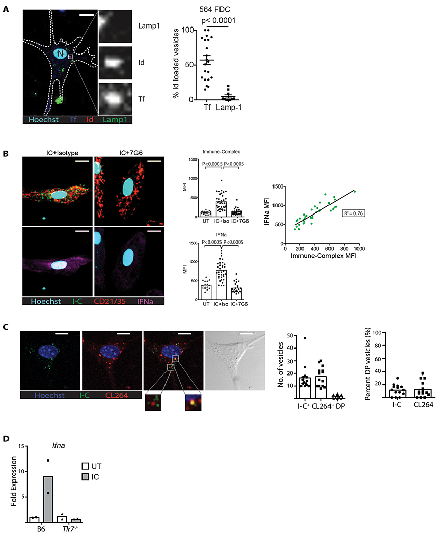 Figure 4: