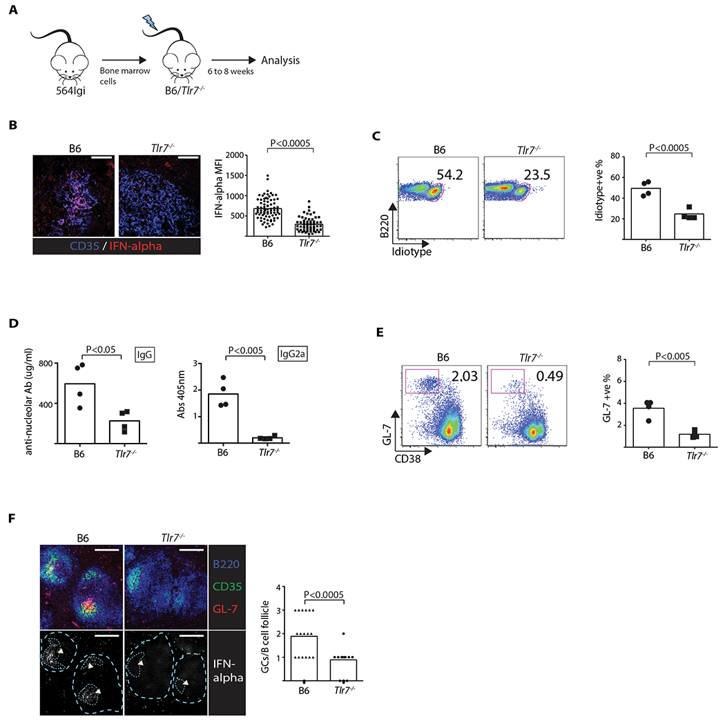 Figure 6: