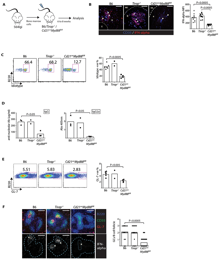 Figure 5: