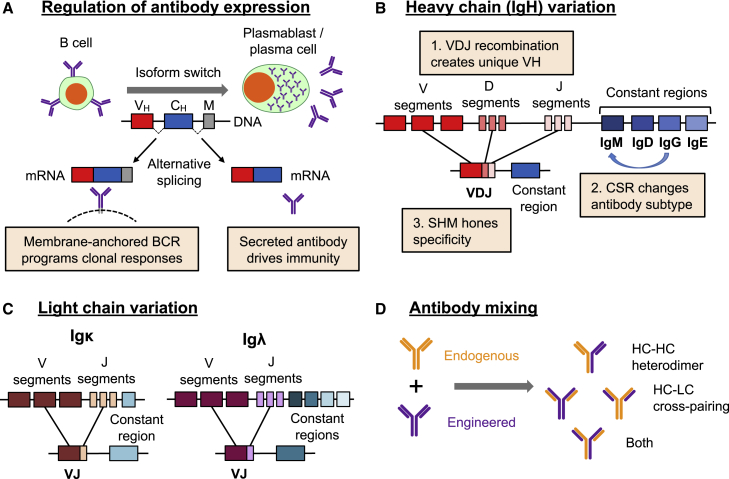 Figure 3