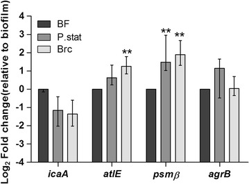 Fig. 7