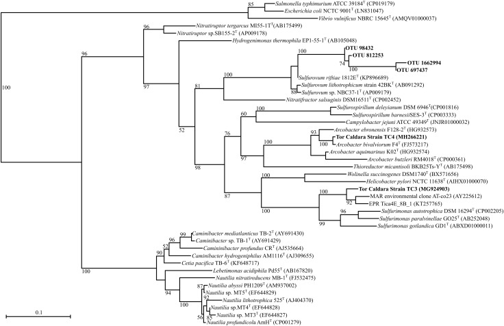 FIGURE 2