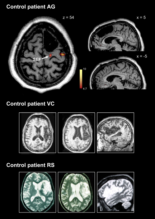 Figure 4