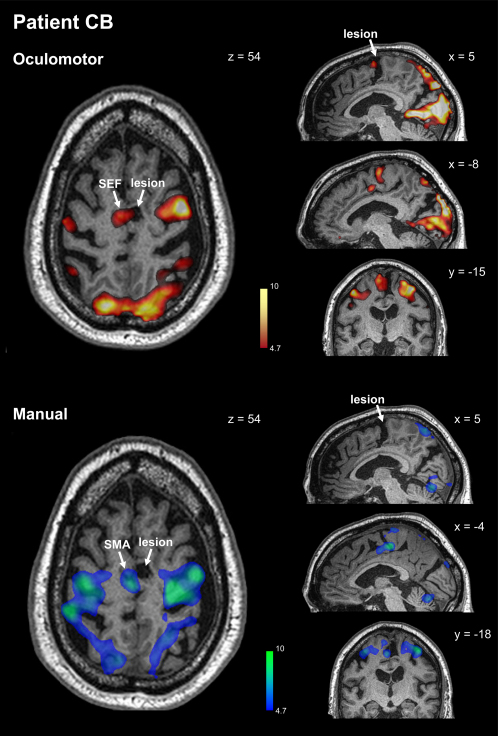 Figure 2