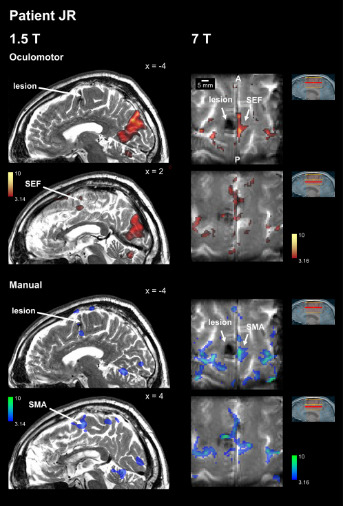 Figure 3