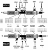 FIG. 7.