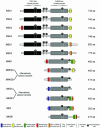 FIG. 3.