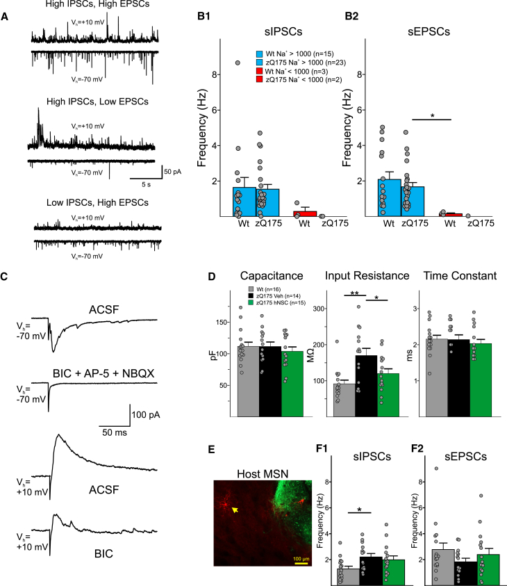 Figure 6