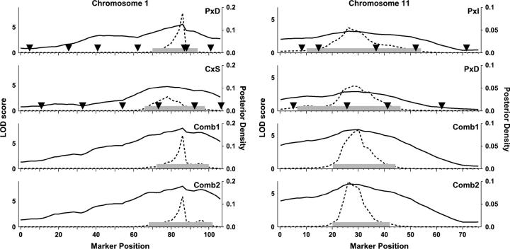 Figure 6.—