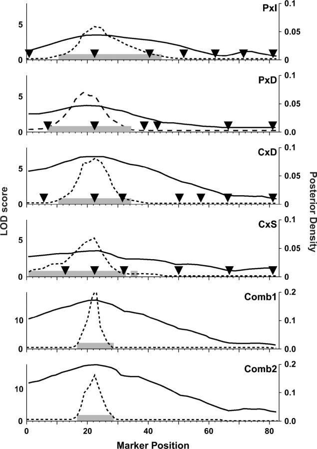 Figure 5.—