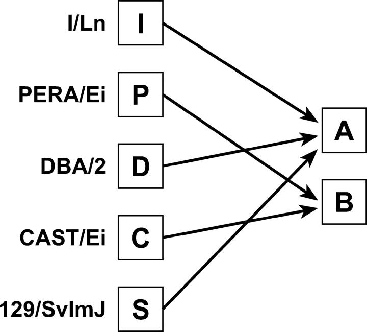 Figure 2.—