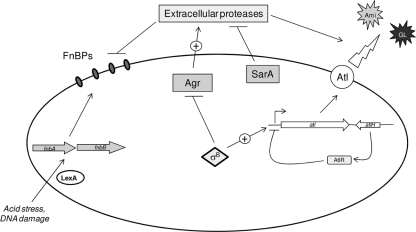 FIG. 10.