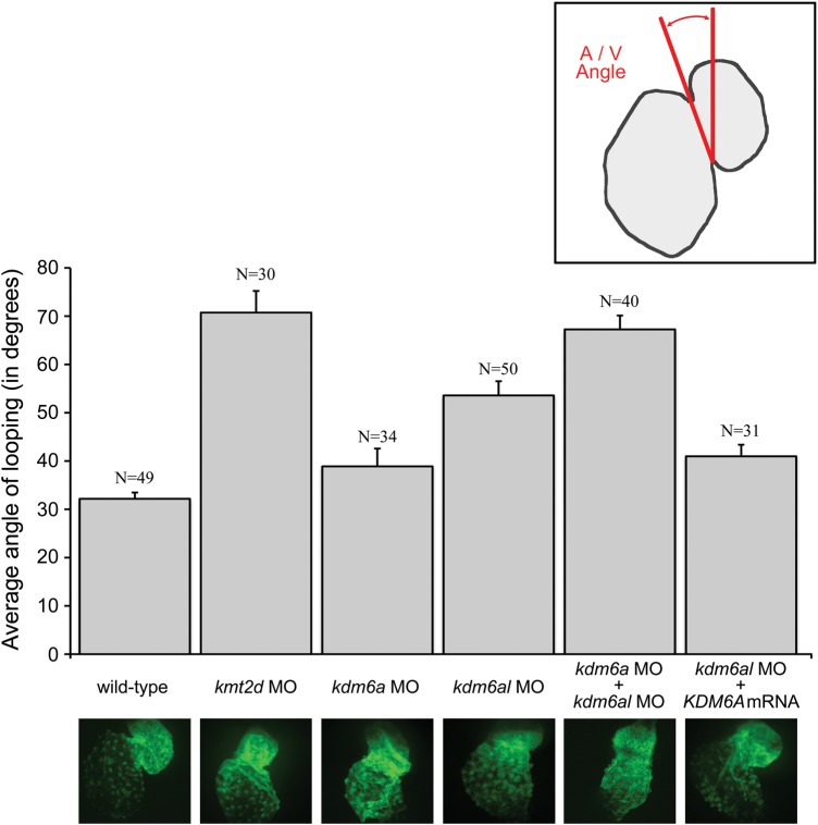 Figure 3.