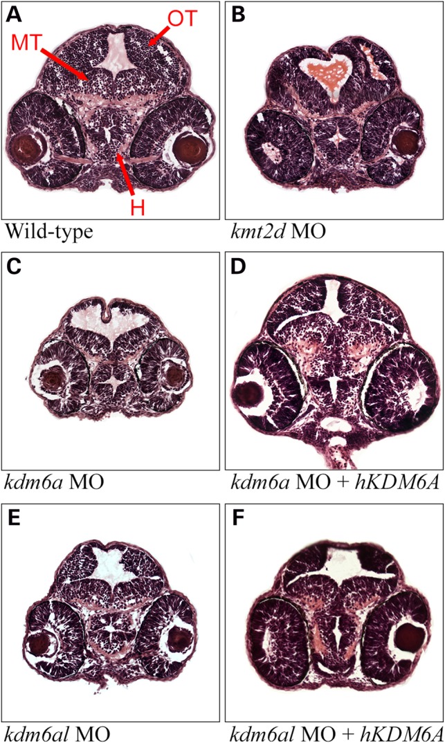 Figure 4.