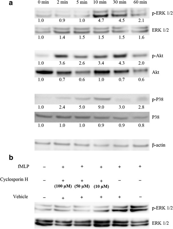 Fig. 4