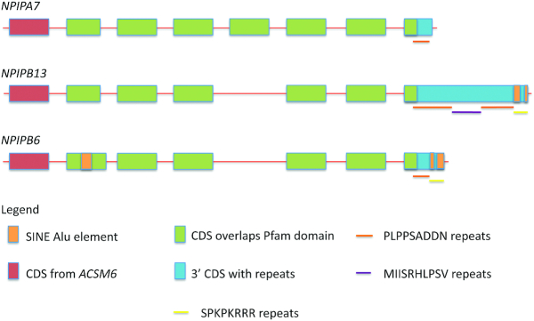 Figure 3.