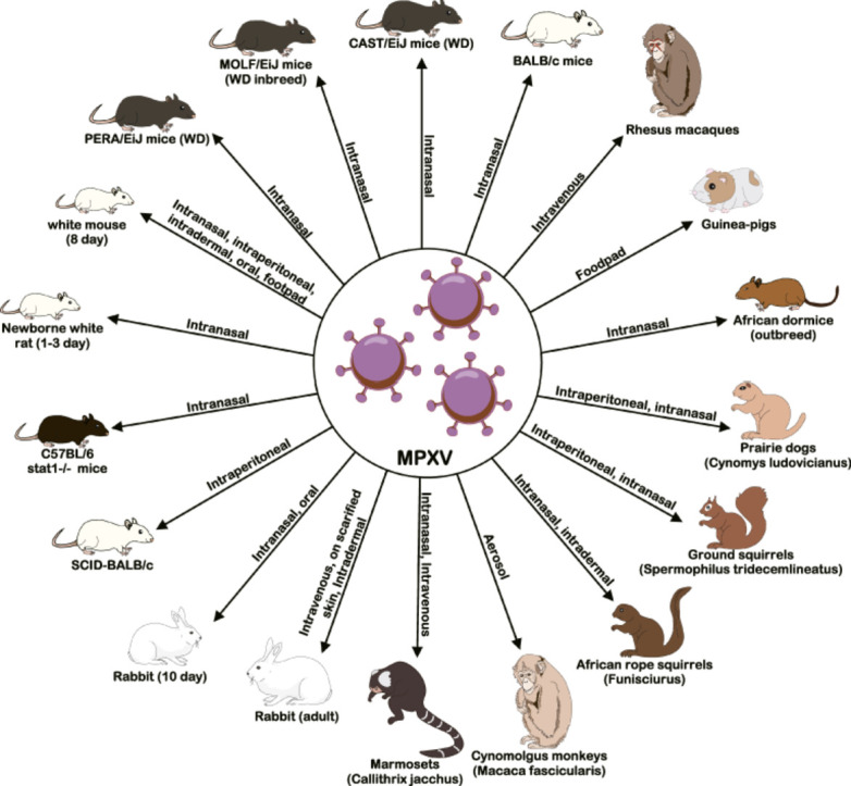 Image, graphical abstract