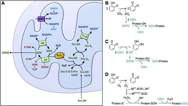 FIG. 7.