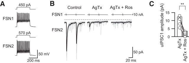 Figure 7.