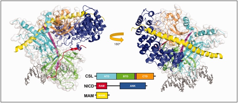 Figure 2.