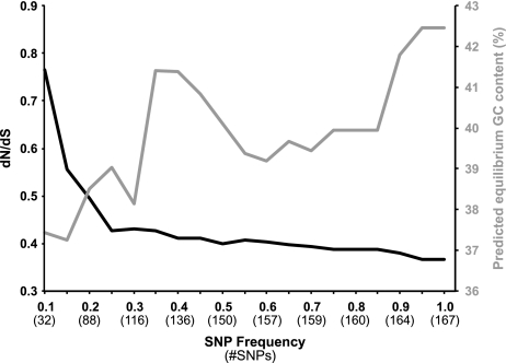 FIG. 2.—