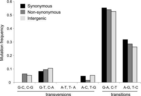 FIG. 1.—