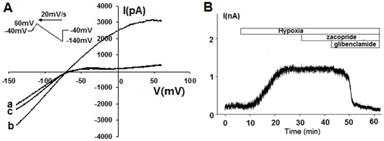 Fig 5