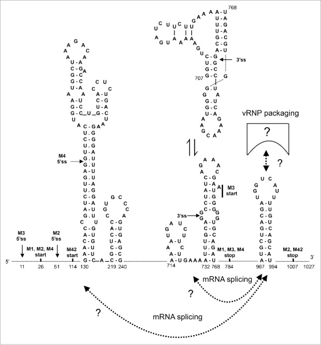 Figure 5.