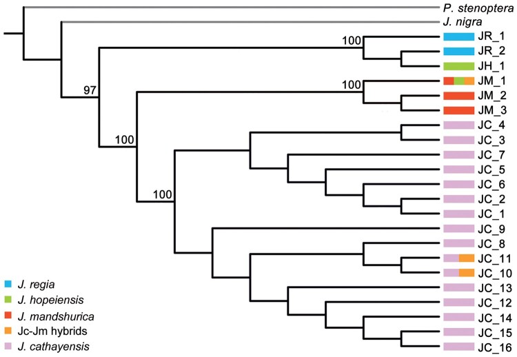 Fig. 4