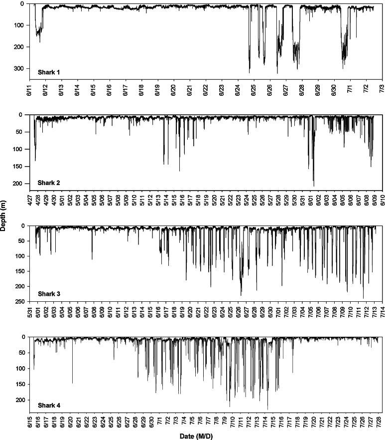 Fig. 2