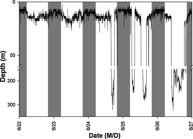 Fig. 3