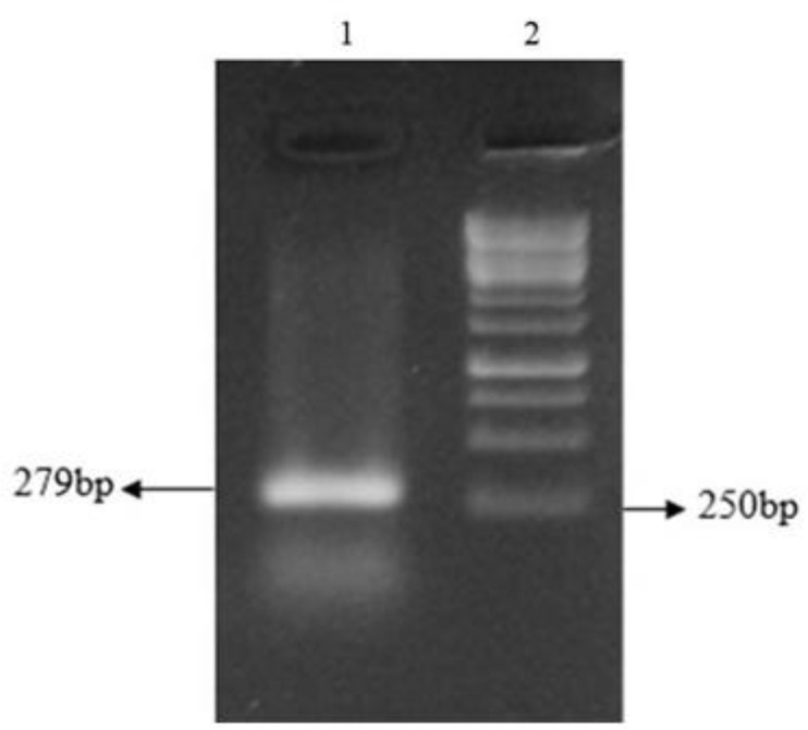 Fig. 2: