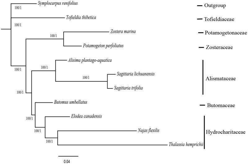 Figure 1.