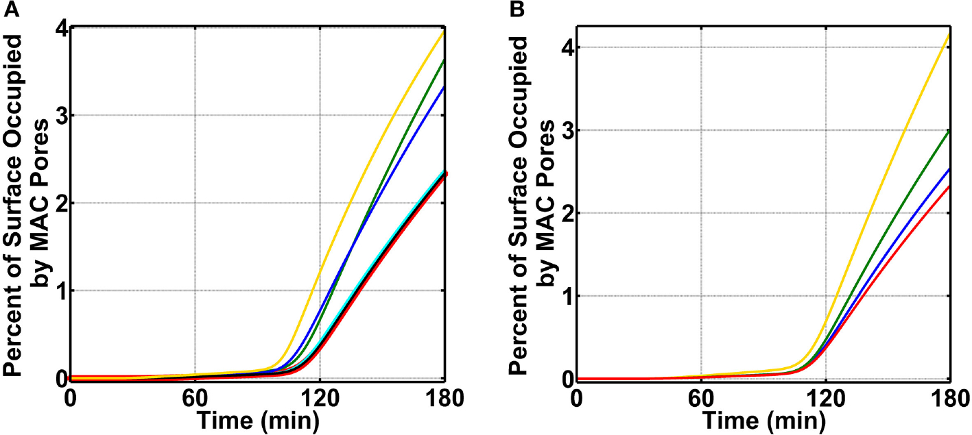 FIGURE 5 |