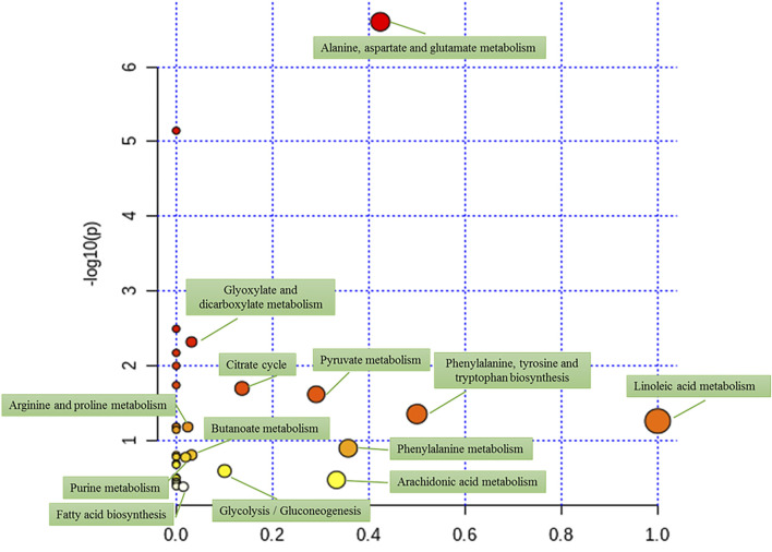 FIGURE 5